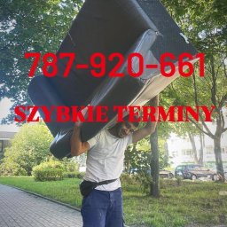 Wycinka drzew Łódź 1