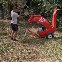 Wycinka drzew Łódź 2