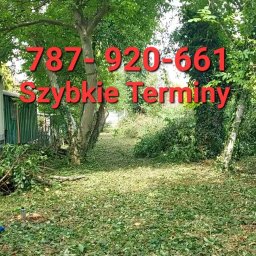 Wycinka drzew Łódź 4