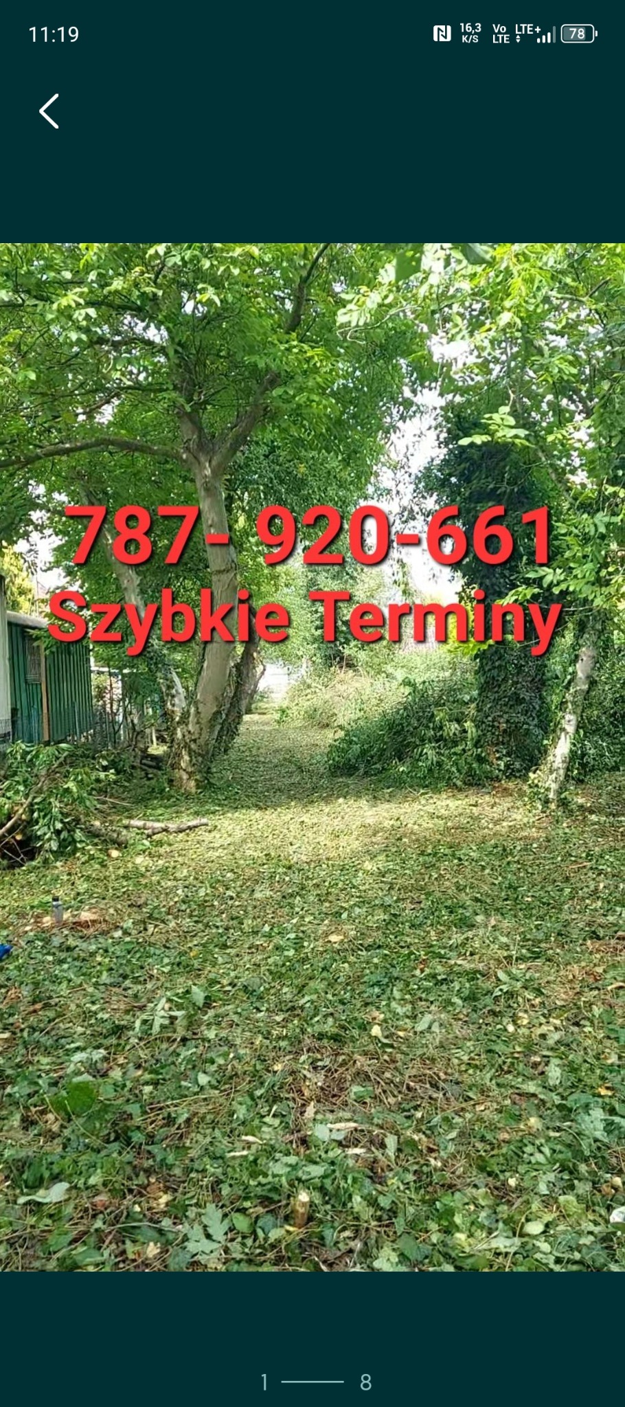 Teren po wycince drzew z rozdrobnionymi gałęziami i liśćmi, numer telefonu oraz napis 'Szybkie Terminy' w czerwonej czcionce nałożone na zdjęcie.