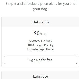 Przemysław Kosiec - Responsywny układ strony internetowej z planami cenowymi dla psów, zoptymalizowany dla urządzeń mobilnych, z widocznymi różnicami w cenie i funkcjonalności.