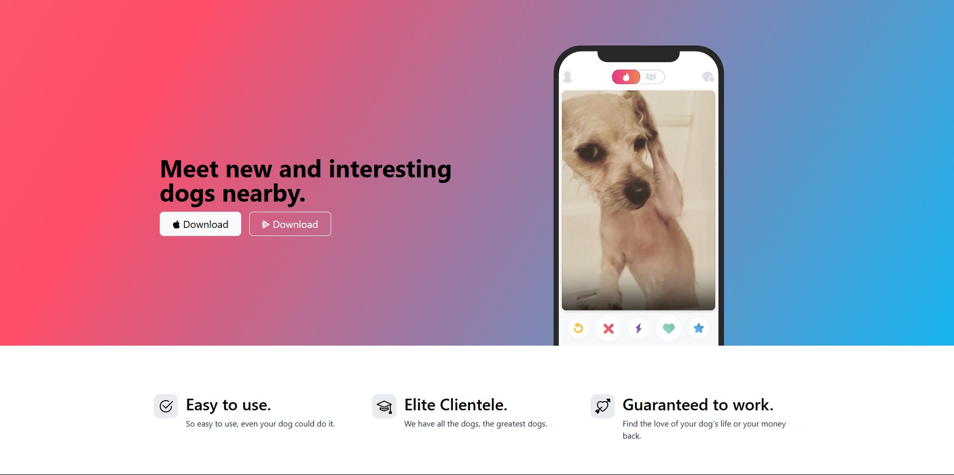 Strona internetowa aplikacji randkowej dla psów, z gradientowym tłem i interfejsem telefonu z zdjęciem psa. Napisy: 'Meet new dogs nearby'.