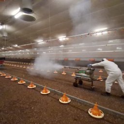 TOXIN 2 - Pracownik w kombinezonie ochronnym dezynfekuje halę z podajnikami dla drobiu za pomocą specjalistycznego sprzętu. Widoczna unosząca się mgła dezynfekująca.