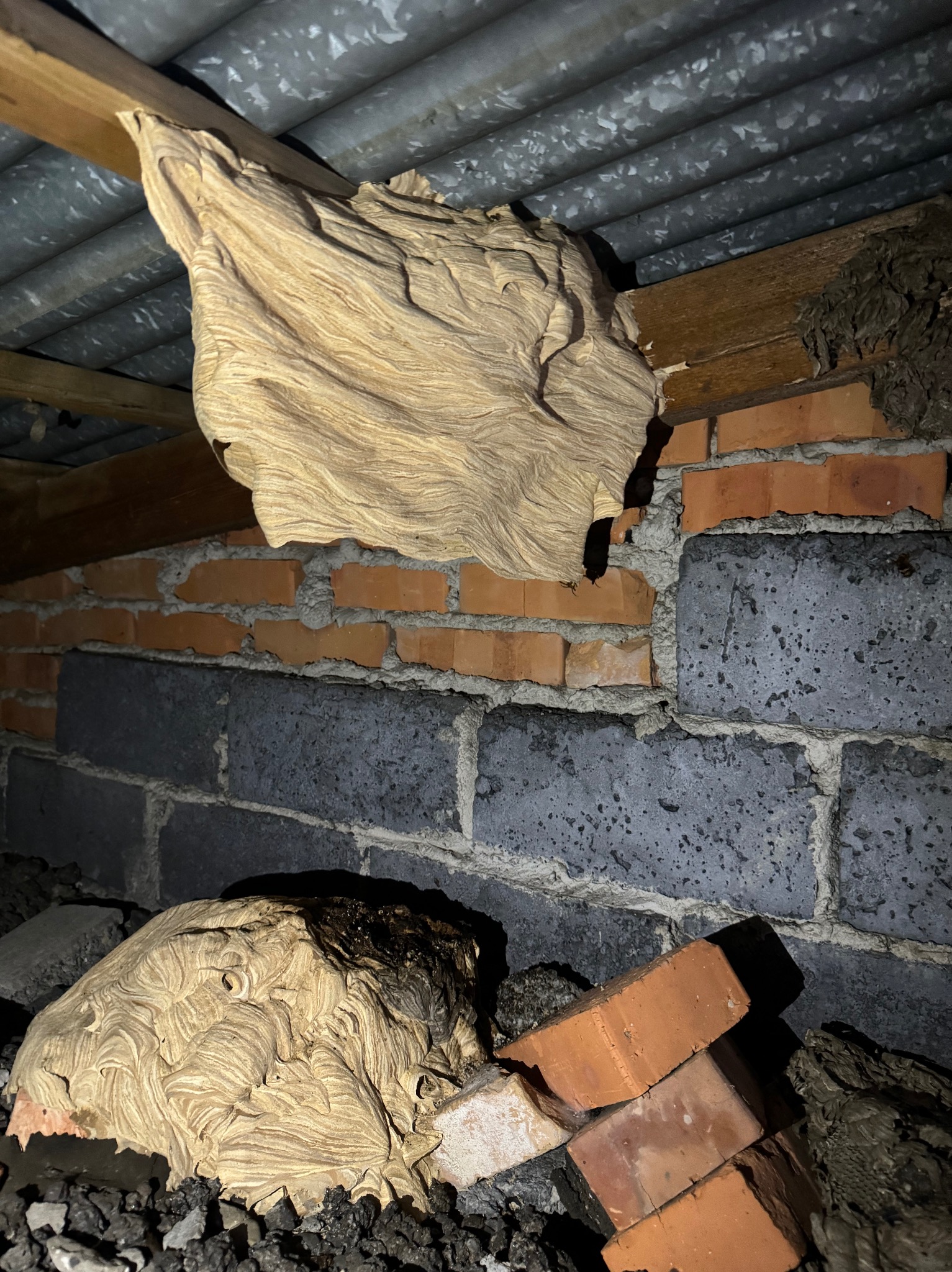 Gniazdo os pod dachem z blachy falistej, częściowo usunięte. Fragmenty gniazda leżą na cegłach i gruzie. Widoczne otwory w strukturze gniazda.