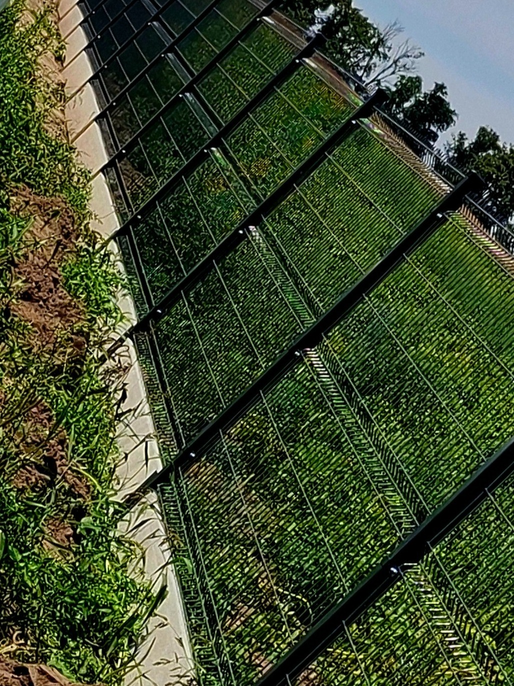 Fragment panelowego ogrodzenia w kolorze ciemnej zieleni, z widoczną trawą po obu stronach. Ujęcie z dołu, podkreślające wysokość konstrukcji.