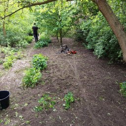 ZIELONY PATROL - Przygotowany teren pod nasadzenia w ogrodzie, widoczny sprzęt ogrodniczy i oddalająca się postać. Ziemia przekopana, widoczne ślady opon.