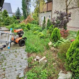 Wycinka drzew Wrocław 4