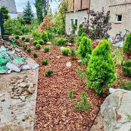 Wycinka drzew Wrocław 2