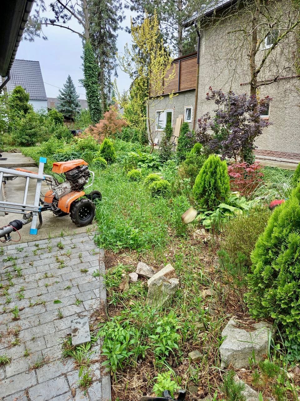Niezagospodarowany ogród we Wrocławiu przed rozpoczęciem prac. Widoczna glebogryzarka i drabina, gotowe do działania.