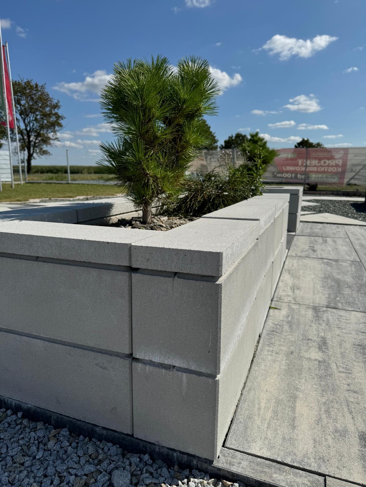 Szara, betonowa donica z zielonym drzewkiem iglastym, na tle błękitnego nieba i zieleni. Element małej architektury ogrodowej.