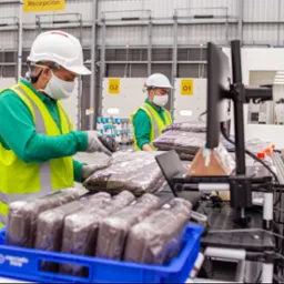 Pracownicy magazynu w kaskach i maskach skanują zapakowane produkty. Widoczne regały, stanowiska pracy i oznaczenia numeracyjne. Hala produkcyjna.