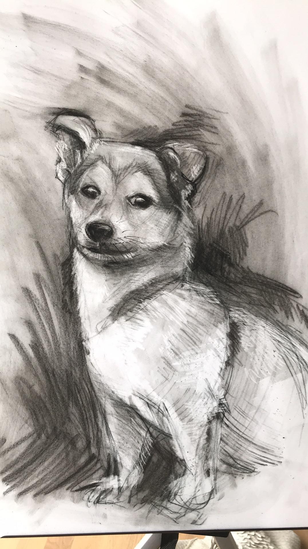 Ręcznie rysowany portret psa w technice grafitowej, ukazujący zwierzę z bliska na białym papierze. Widoczne detale sierści i wyraz pyska.