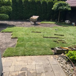 VIRIDIS Usługi Ogrodnicze Jakub Wszelaki - Układanie trawy z rolki w ogrodzie przydomowym, widoczna taczka z trawą, narzędzia ogrodnicze i częściowo ułożona trawa na przygotowanym podłożu.