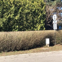 Zakładanie ogrodów Lublin 1