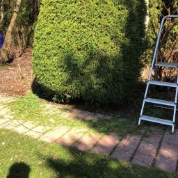 Zakładanie ogrodów Lublin 2