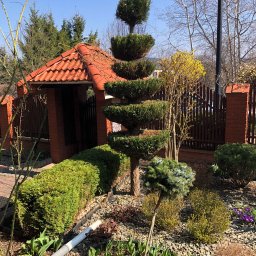 Zakładanie ogrodów Lublin 4