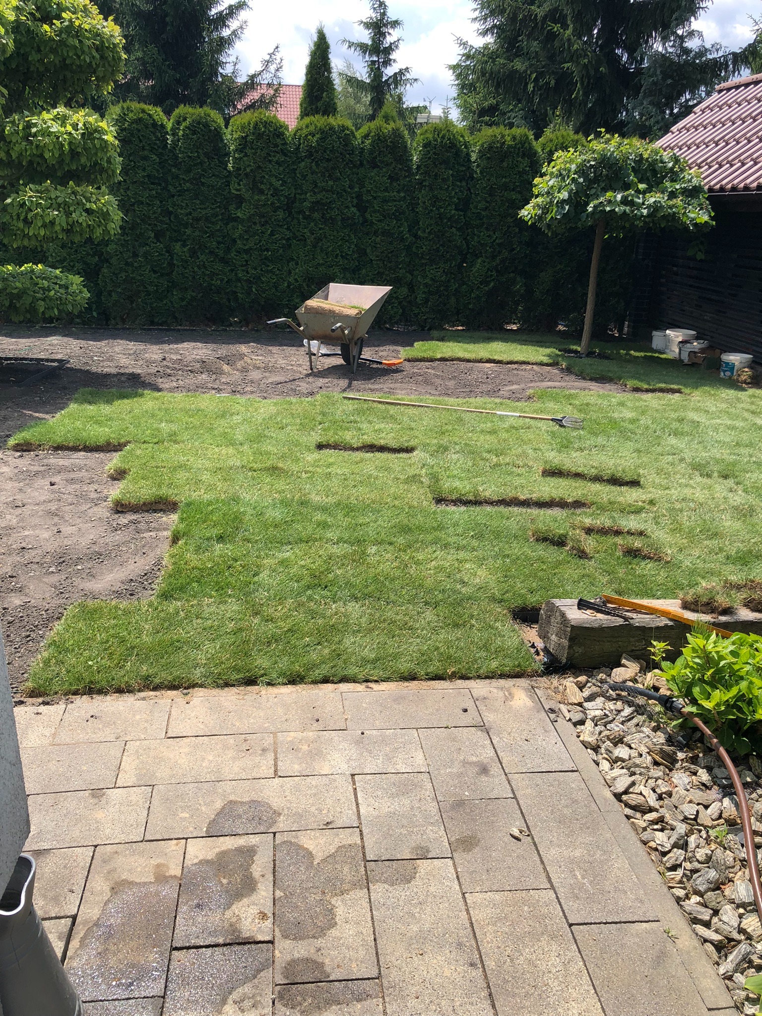 Układanie trawy z rolki w ogrodzie przydomowym, widoczna taczka z trawą, narzędzia ogrodnicze i częściowo ułożona trawa na przygotowanym podłożu.