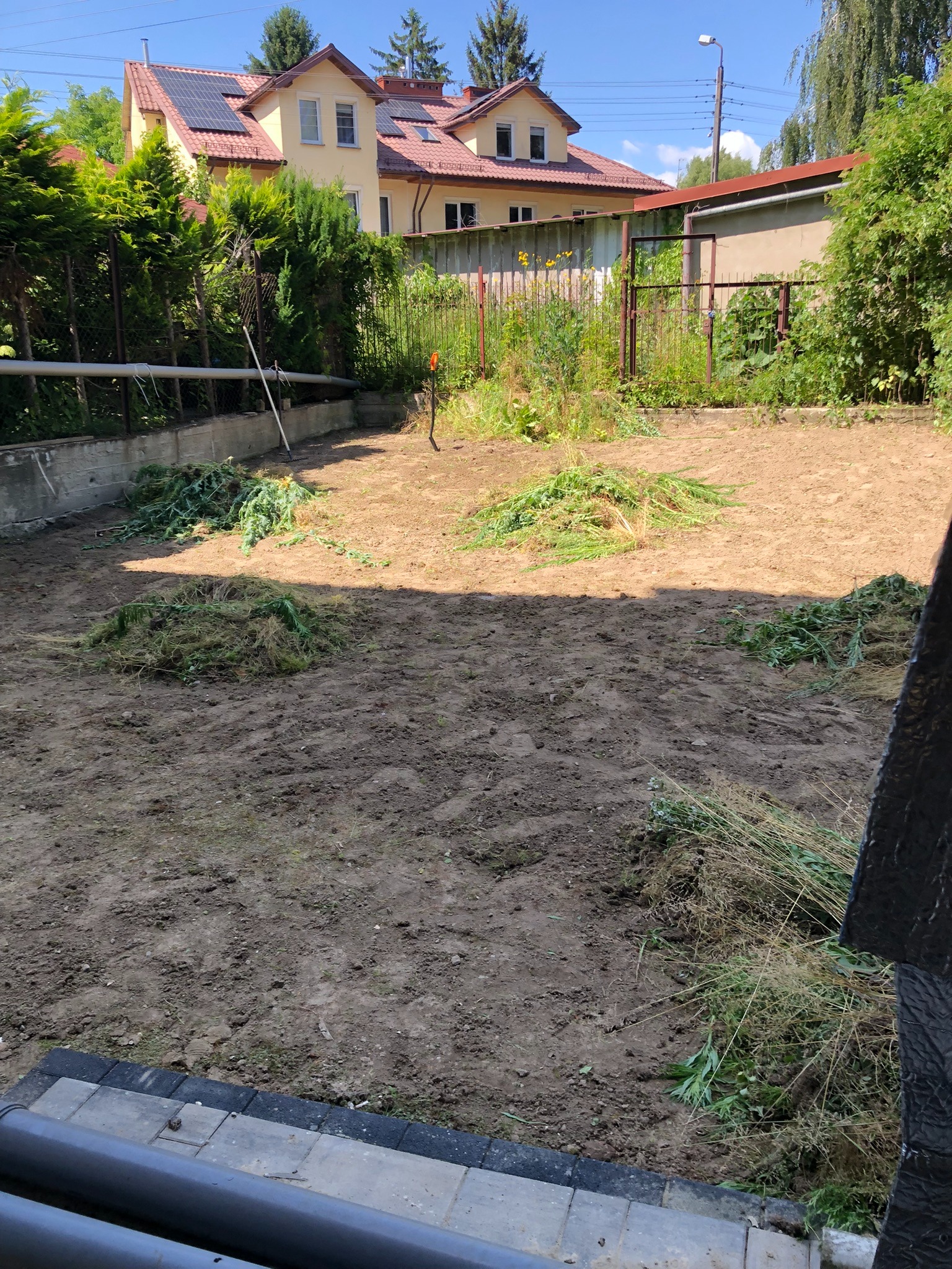 Przygotowanie terenu pod trawnik: wyrównana ziemia z usuniętymi resztkami roślin, w tle budynek mieszkalny i ogrodzenie. Prace ogrodnicze.