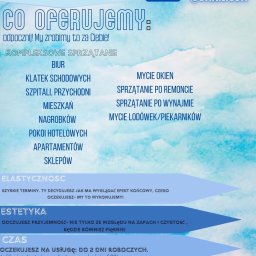 Pan pani miotła - Ekipa Sprzątająca Gdańsk