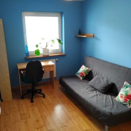 ProMax - Niebieski pokój po malowaniu: biurko, sofa z poduszkami w kwiaty, drewniana podłoga. Widok na okno z rośliną. Świeżo pomalowane ściany w odcieniu błękitu.