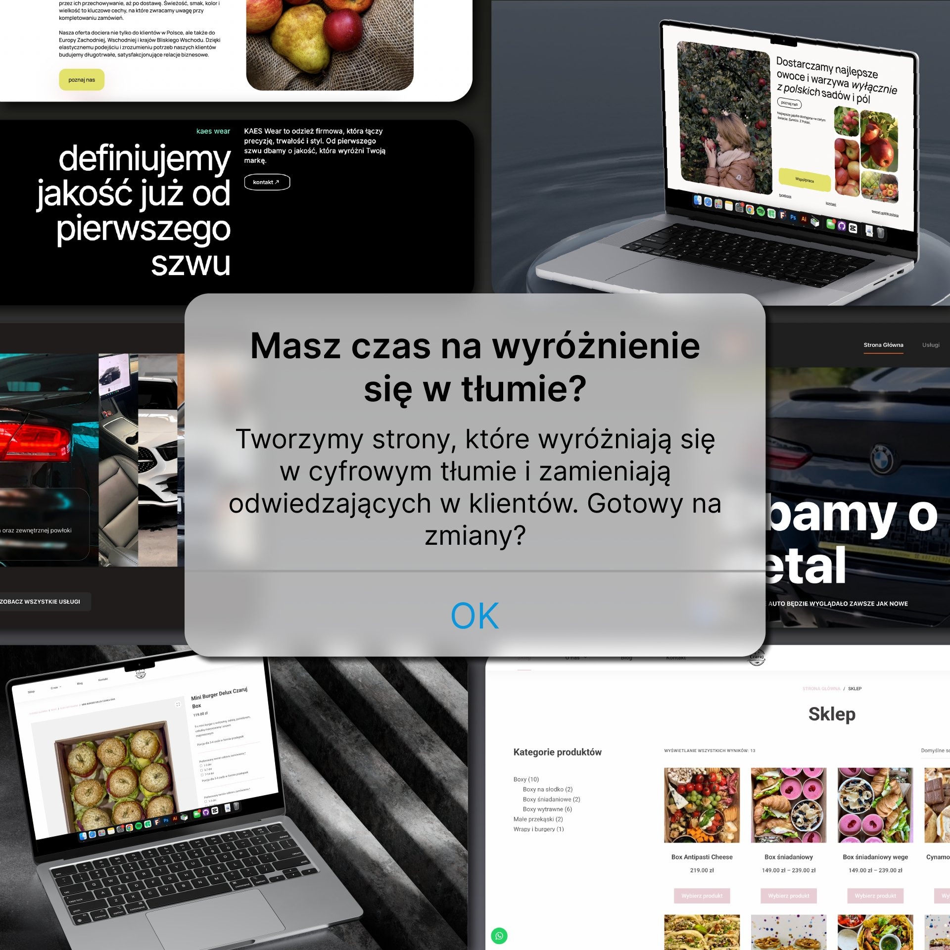 Responsywne strony internetowe prezentowane na laptopach z różnymi układami i treściami, ukazujące wszechstronność projektowania i dostosowanie do potrzeb klienta.