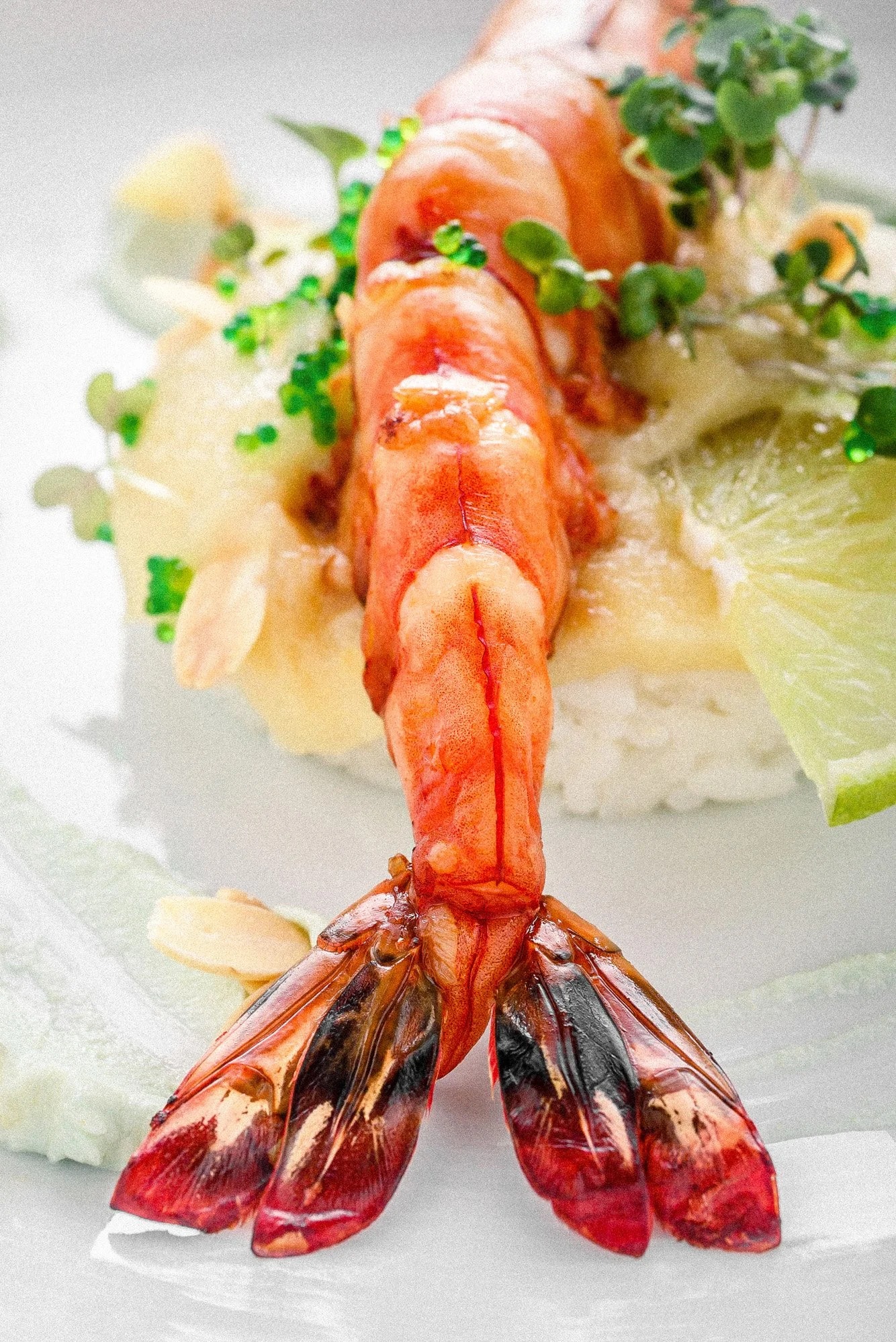 Krewetka tygrysia z bliska, ułożona na ryżu i udekorowana zieleniną oraz plasterkiem limonki. Widoczny ogon krewetki z detalami. Delikatne oświetlenie podkreśla fakturę.