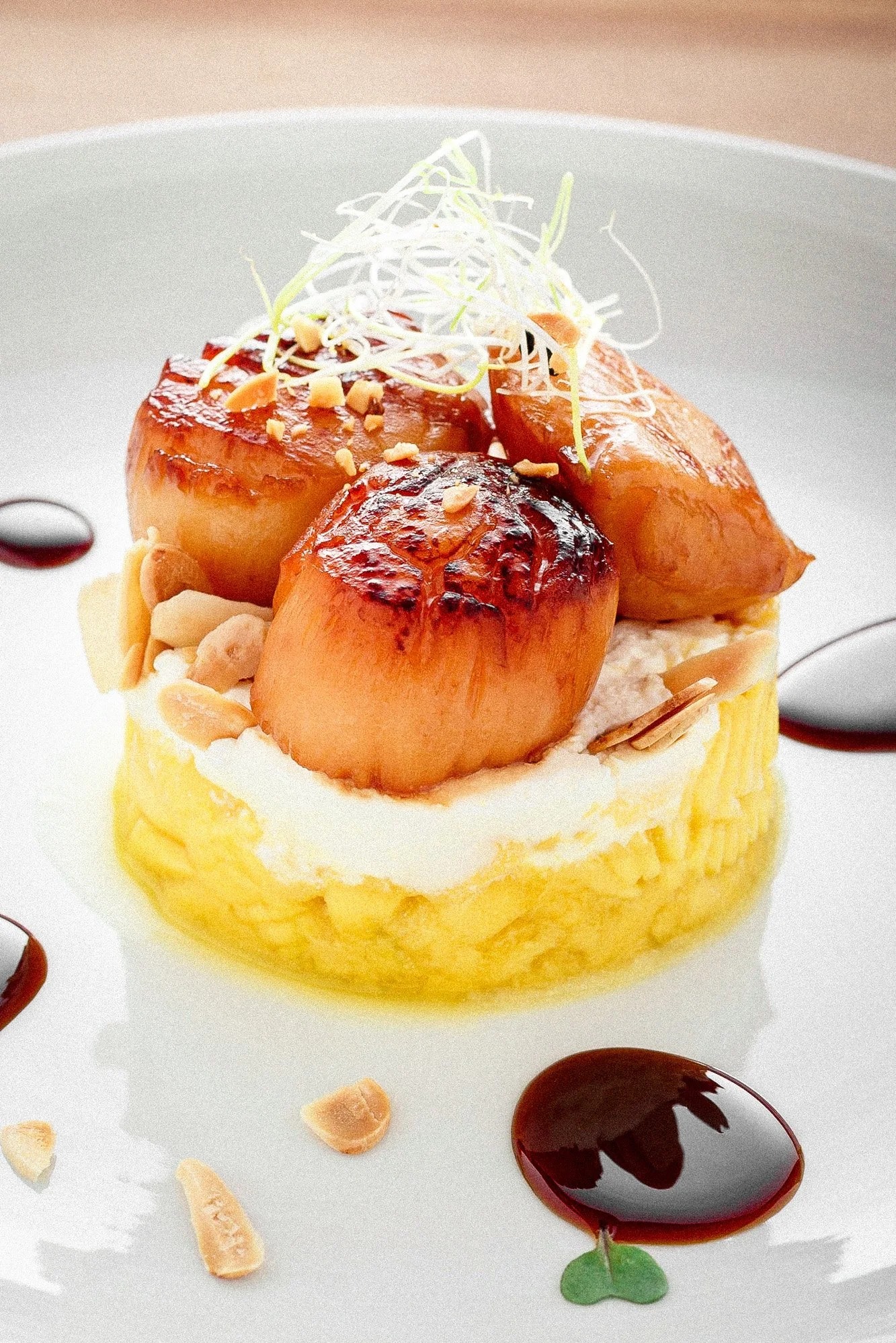 Wykwintne danie: smażone przegrzebki na kremowym puree z dodatkiem migdałów i kiełków, polane sosem balsamicznym na białym talerzu.