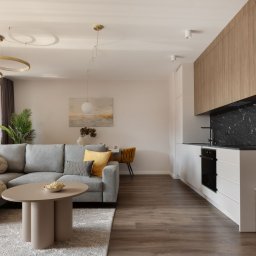 Szafy wnękowe Siemianowice Śląskie 4