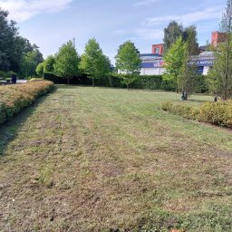 Kawu Serwis - Usuwanie Drzew Pabianice