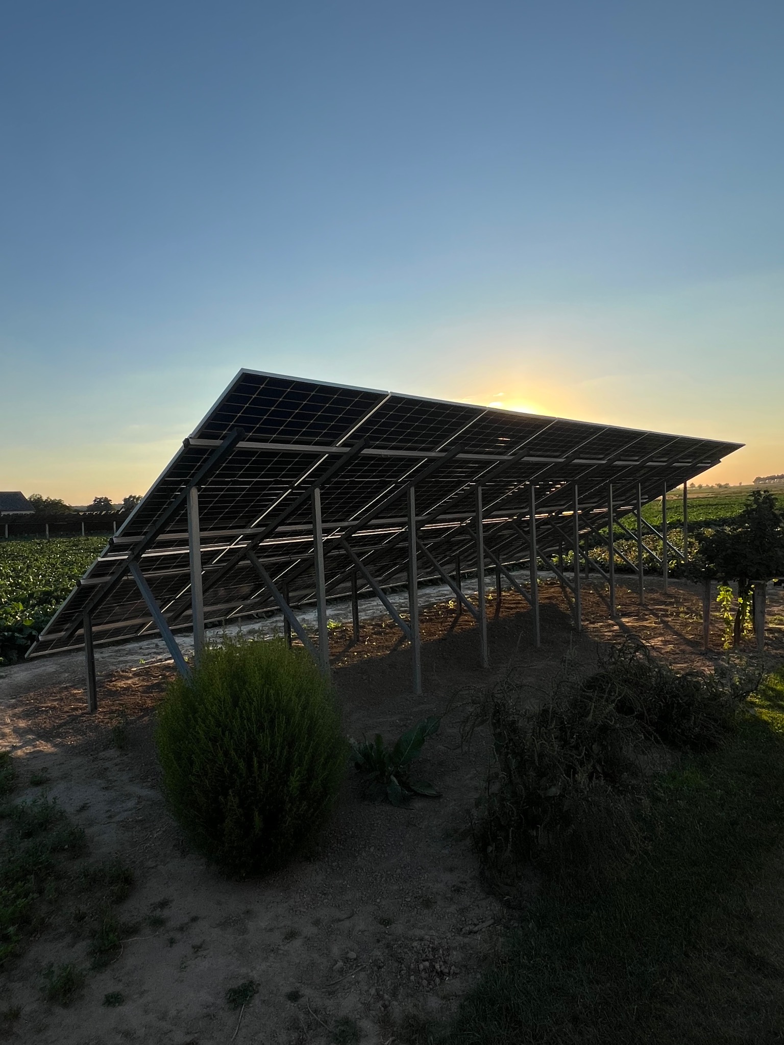 Instalacja fotowoltaiczna na polu uprawnym, widok od spodu, z zachodzącym słońcem w tle. Konstrukcja stalowa, panele skierowane ku górze, otoczenie polne.