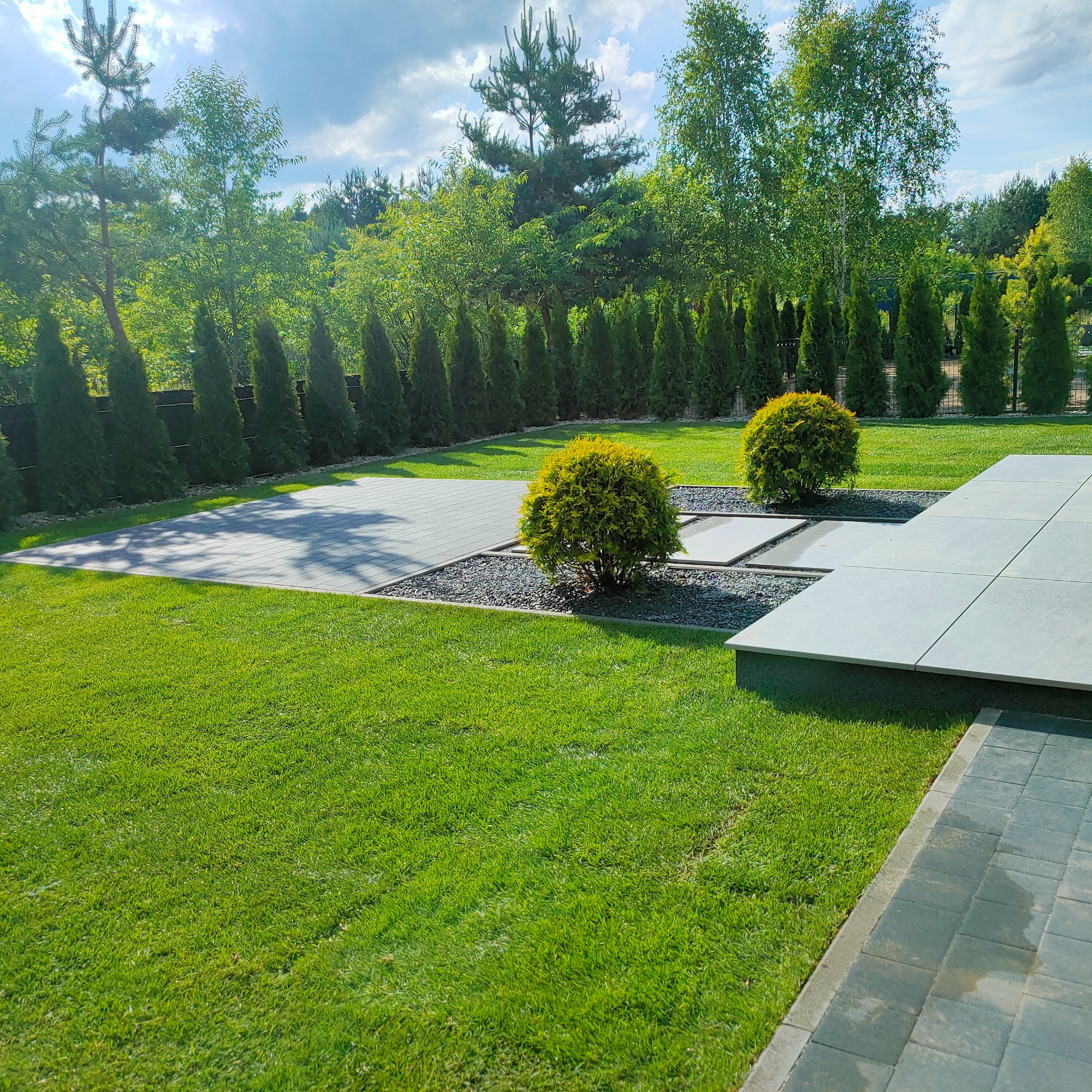 Estetyczny ogród z wybrukowanym podjazdem, zielonym trawnikiem i ozdobnymi krzewami. W tle rząd tuj i drzewa liściaste pod błękitnym niebem.