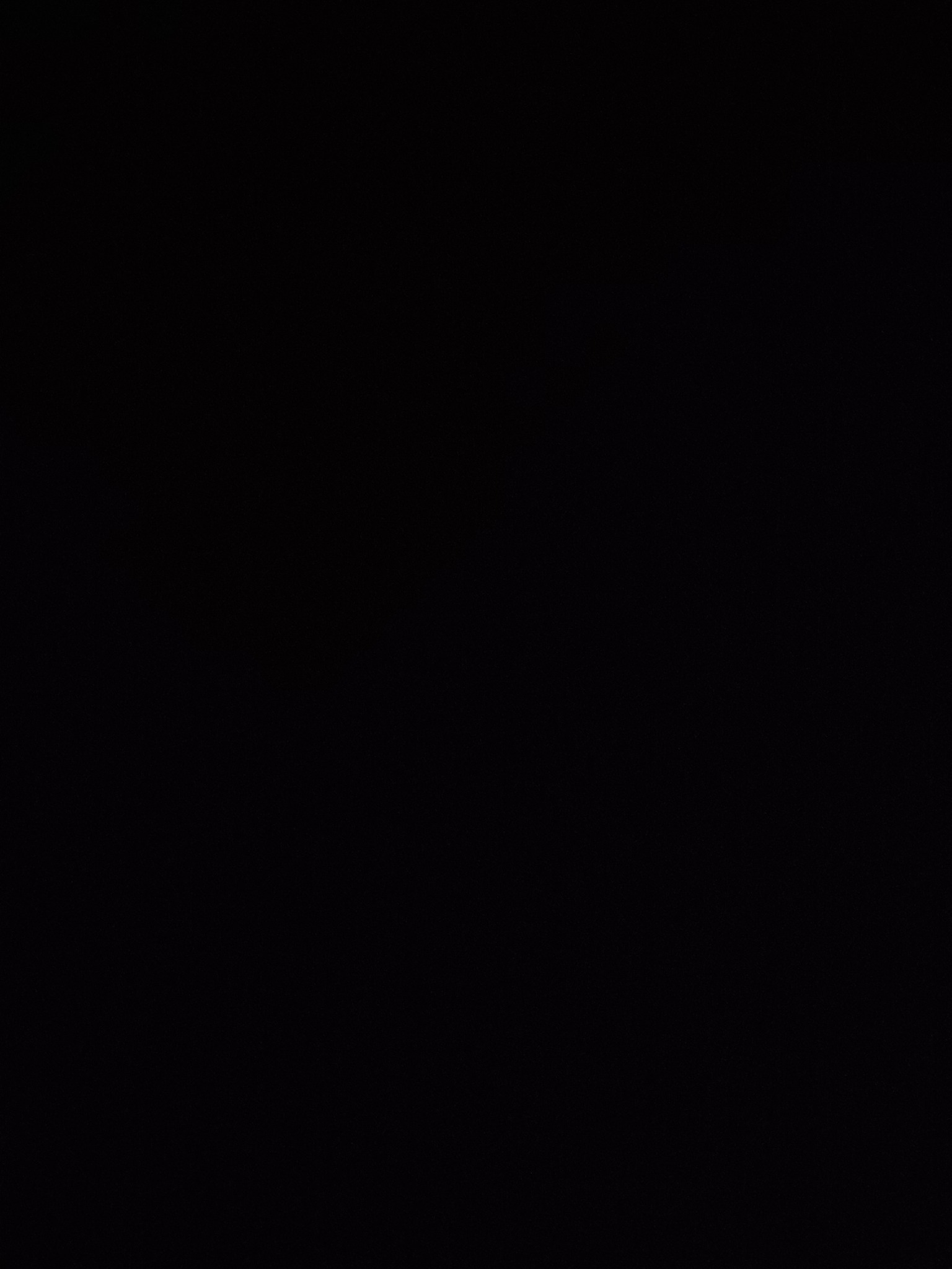 Ciemny obraz bez widocznych szczegółów. Brak wyraźnych kształtów i tekstur. Całkowita czerń.