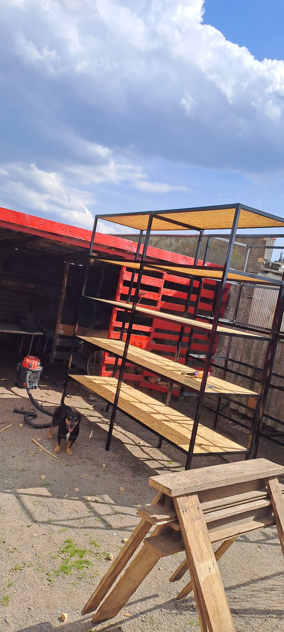 Ręcznie wykonany regał z metalową ramą i drewnianymi półkami, stojący na zewnątrz w pobliżu warsztatu, z psem i narzędziami w tle.
