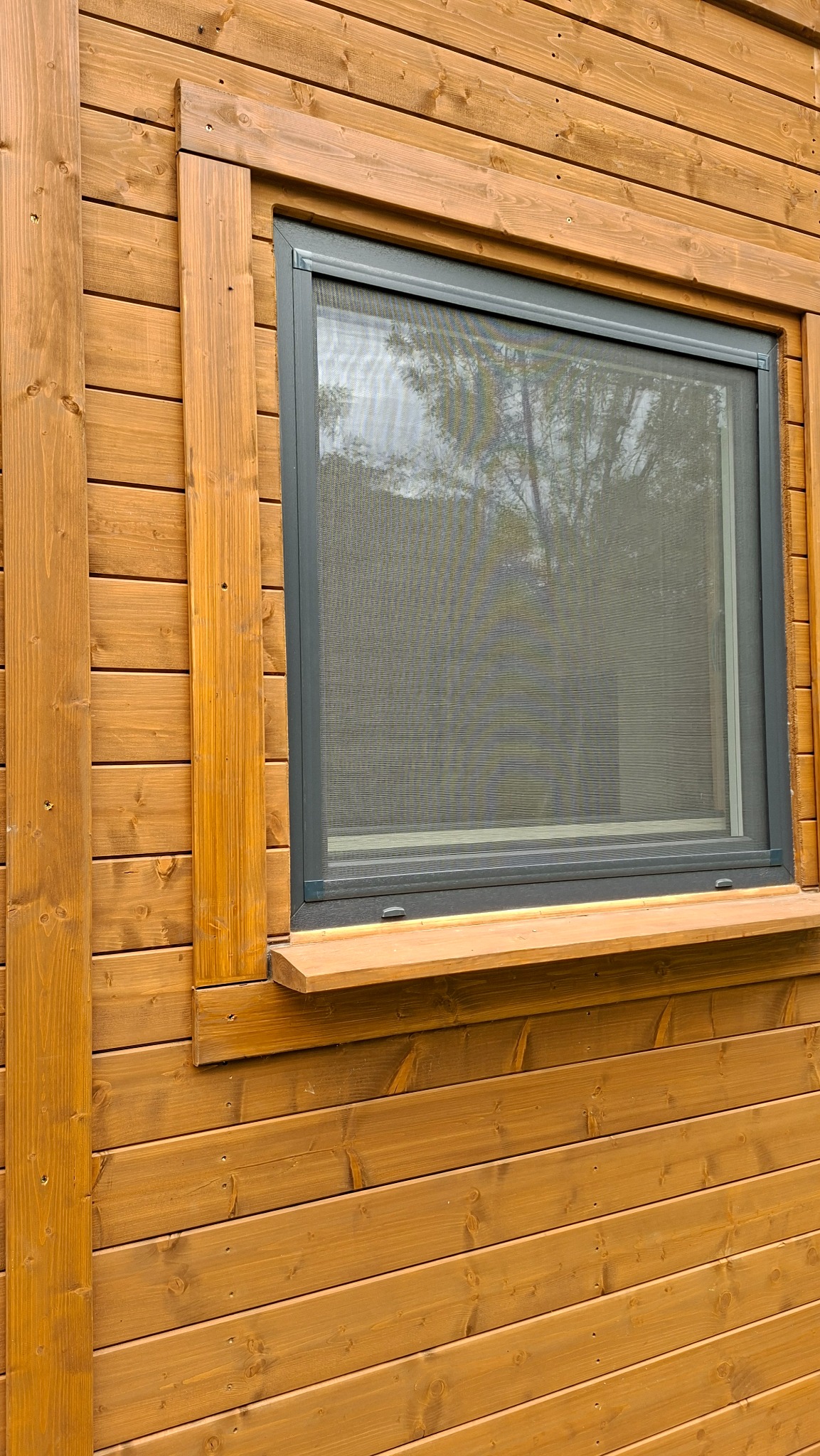 Moskitiera ramkowa w oknie drewnianego domu z widocznym refleksem drzew w siatce. Szara rama moskitiery kontrastuje z ciepłym odcieniem drewna elewacji.