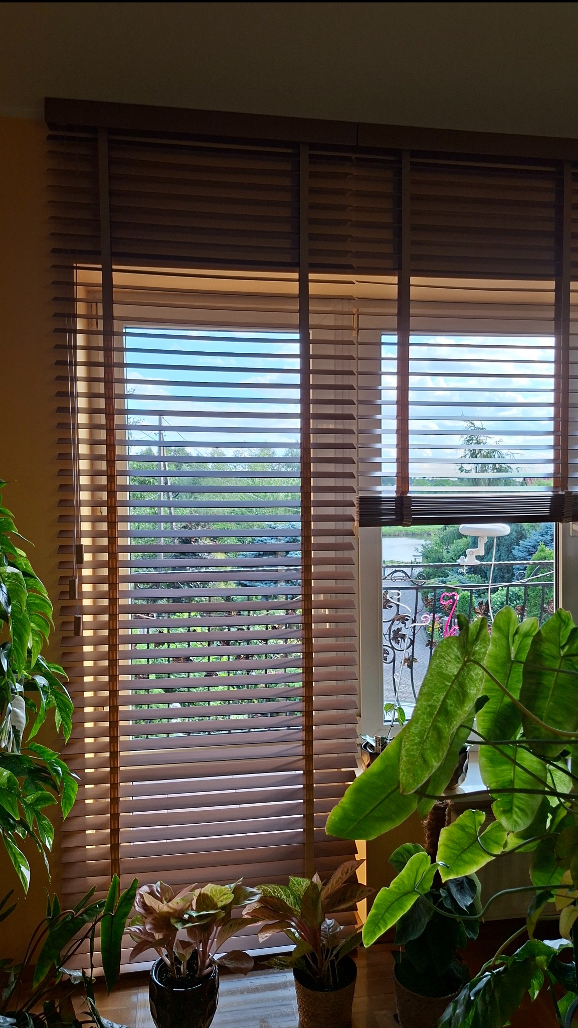 Brązowe żaluzje drewniane w oknie, częściowo zasłonięte, z widokiem na zieleń i niebo, otoczone roślinami doniczkowymi. Ciepłe, naturalne światło.