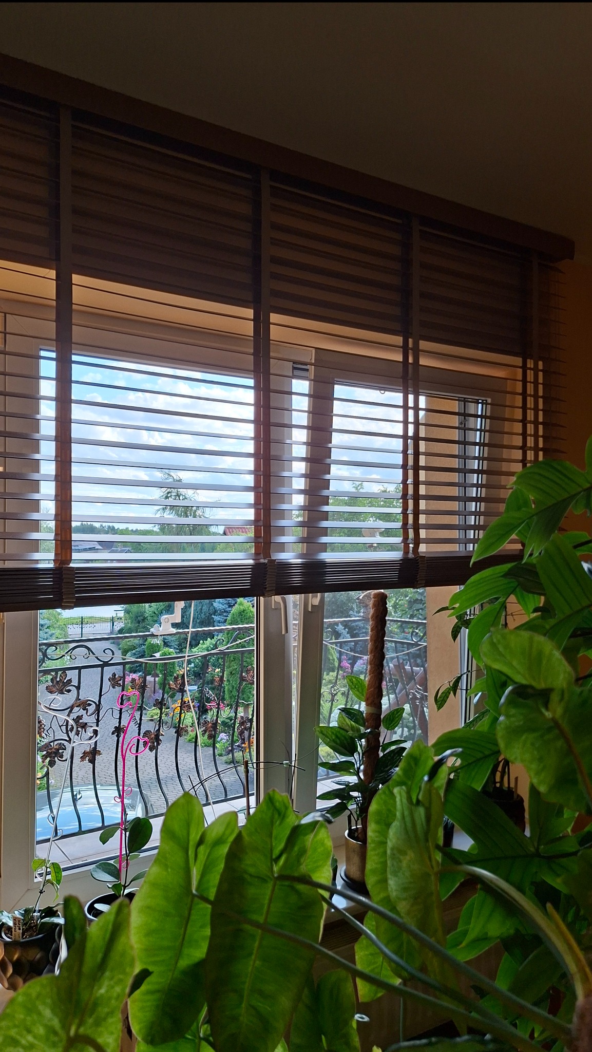 Brązowe żaluzje drewniane w oknie, widok na balkon z ozdobną balustradą i zielony ogród. Rośliny doniczkowe w pomieszczeniu dopełniają wystrój.