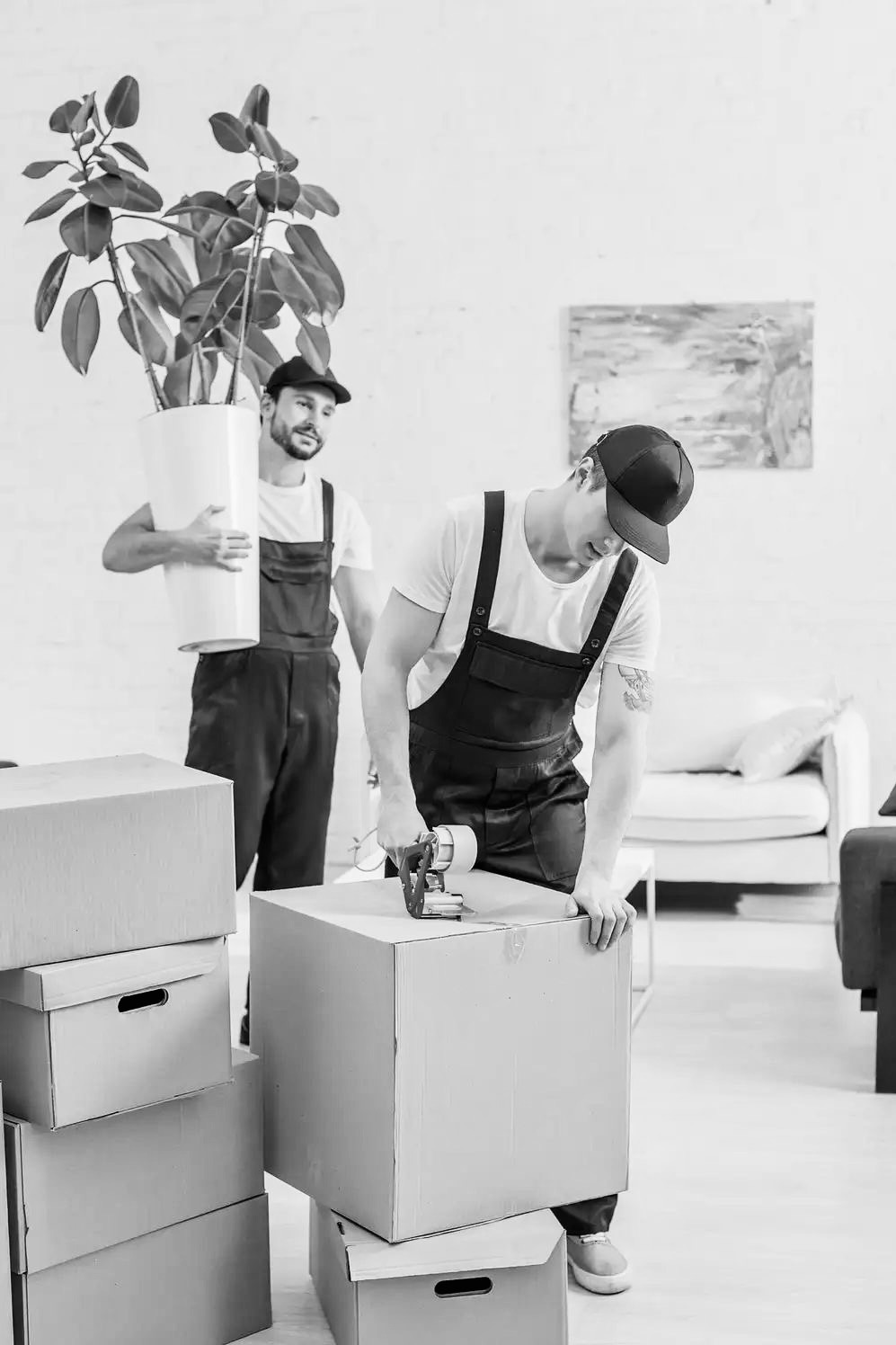Dwóch pracowników w kombinezonach pakuje kartony, jeden zakleja taśmą, drugi niesie dużą roślinę doniczkową. Zdjęcie w odcieniach szarości.