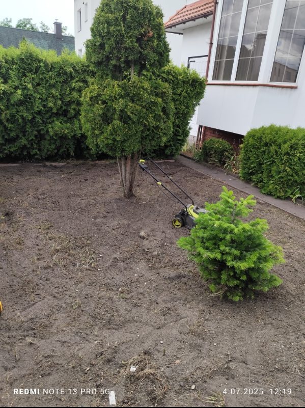 Przygotowany teren pod trawnik w Szubinie. Widoczna kosiarka obok małej choinki, w tle zadbane tuje i budynek. Świeżo przekopana ziemia.