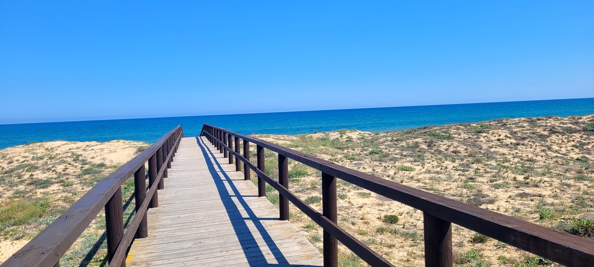 Drewniany pomost prowadzący do morza, otoczony piaszczystymi wydmami i bujną roślinnością, pod błękitnym niebem.