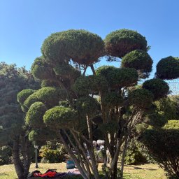 SEBASTIAN PALAK - Przed domem Białystok