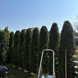 Koszenie trawy Białystok