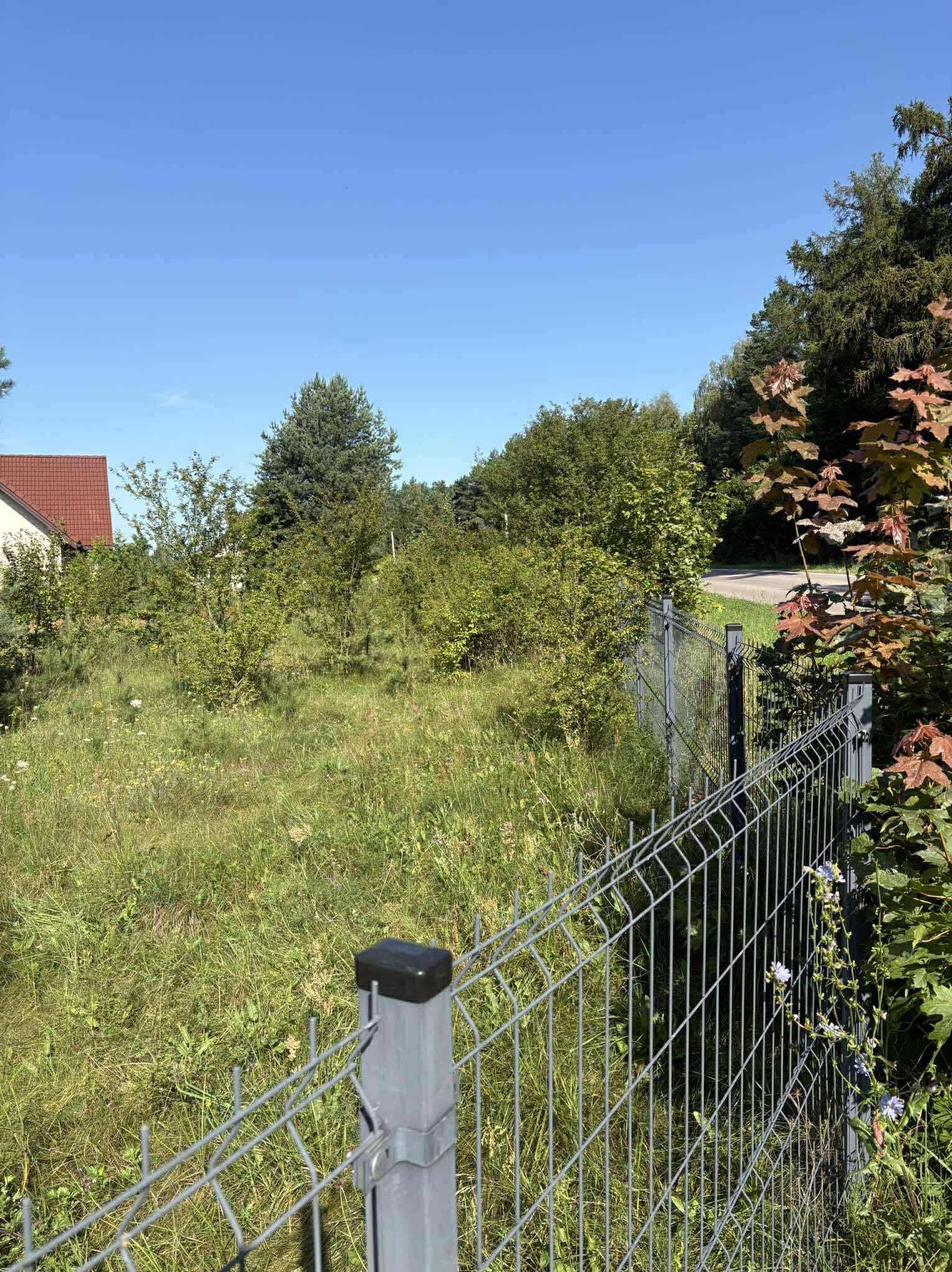 Zarośnięta działka z wysoką trawą i krzewami, ogrodzona metalową siatką. W tle widoczny fragment dachu budynku i drzewa. Słoneczny dzień.