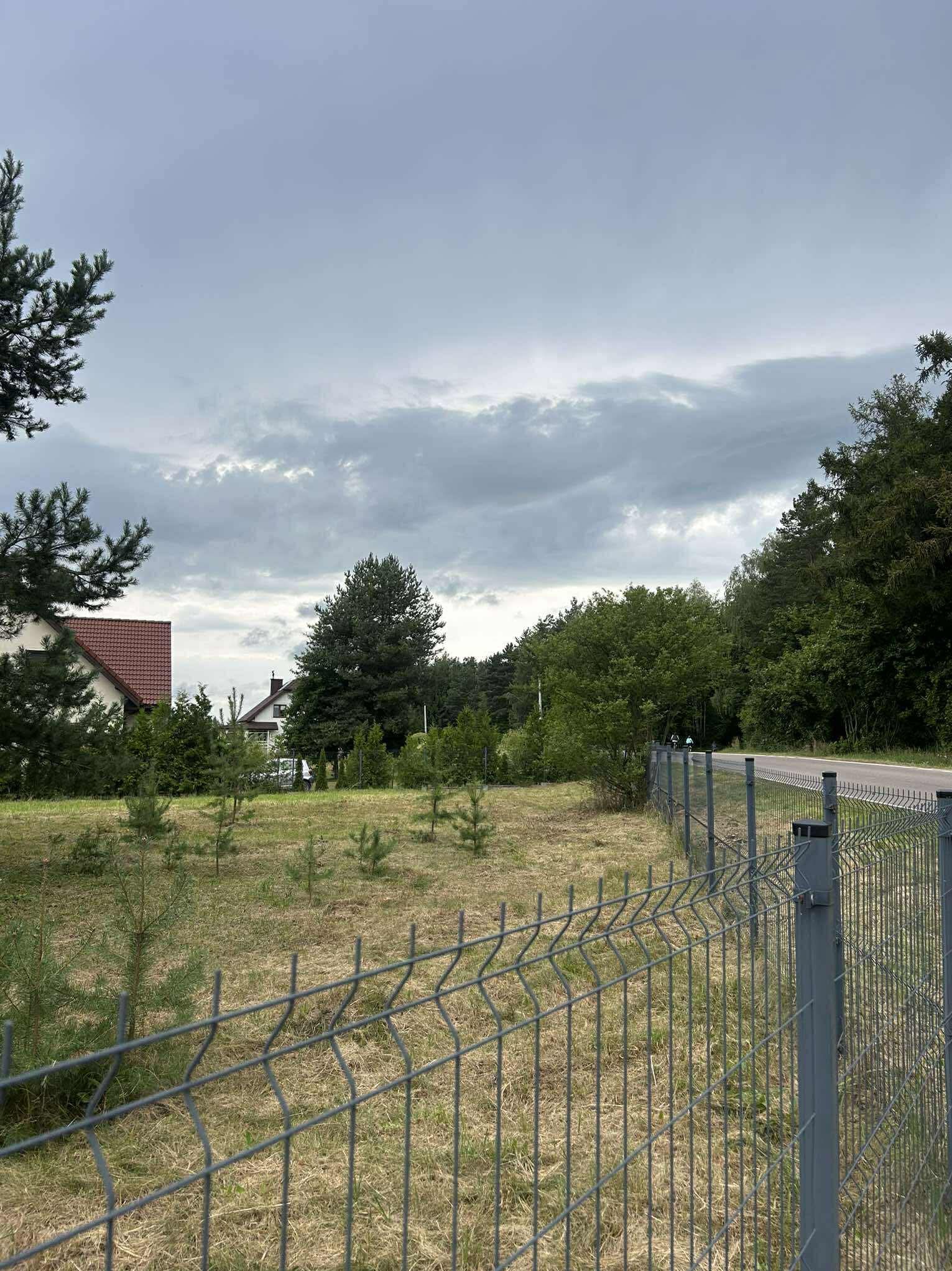Obszar z młodymi drzewkami za metalowym ogrodzeniem panelowym, widok na domy i las w tle pod pochmurnym niebem.