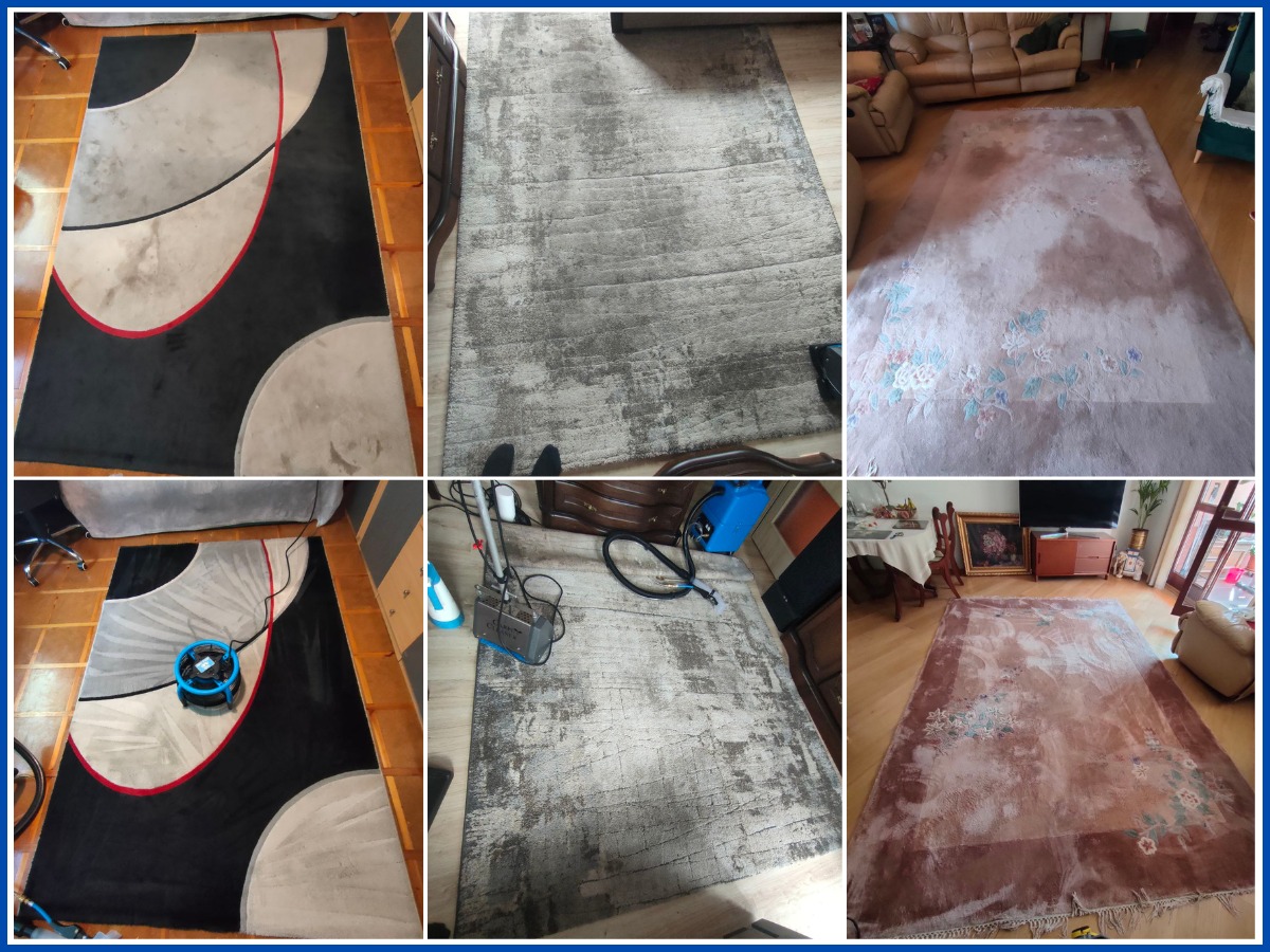 Kolaż dywanów przed i po praniu, ukazujący efekty czyszczenia różnych wzorów i kolorów, z widocznymi plamami i odświeżoną kolorystyką po zabiegu.