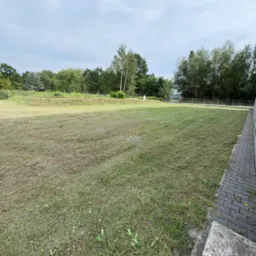 Widok na duży trawnik po koszeniu, z widocznymi śladami po kosiarce. W tle drzewa i krzewy, ogrodzenie. Część trawnika jest lekko wysuszona.