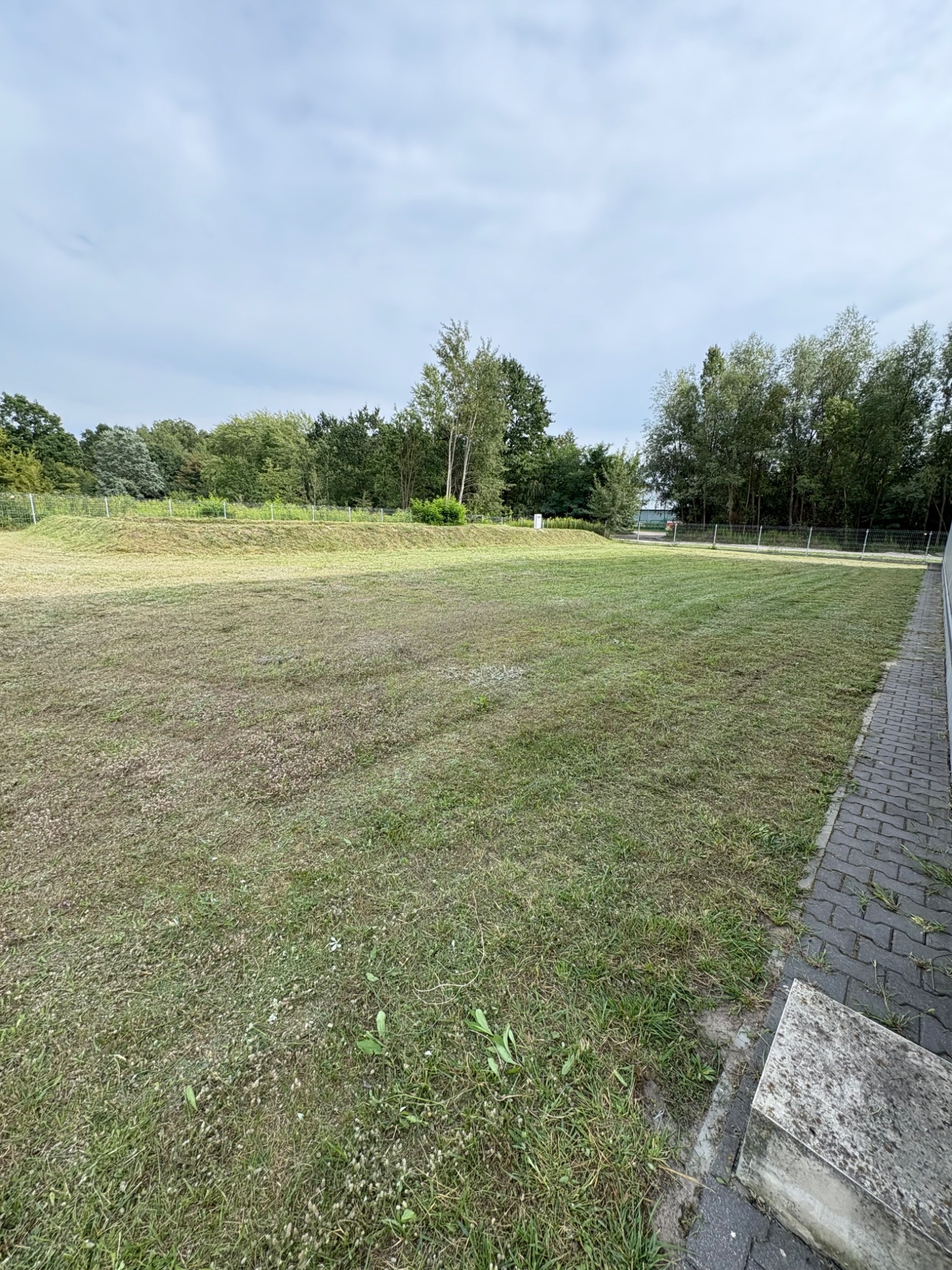 Widok na duży trawnik po koszeniu, z widocznymi śladami po kosiarce. W tle drzewa i krzewy, ogrodzenie. Część trawnika jest lekko wysuszona.