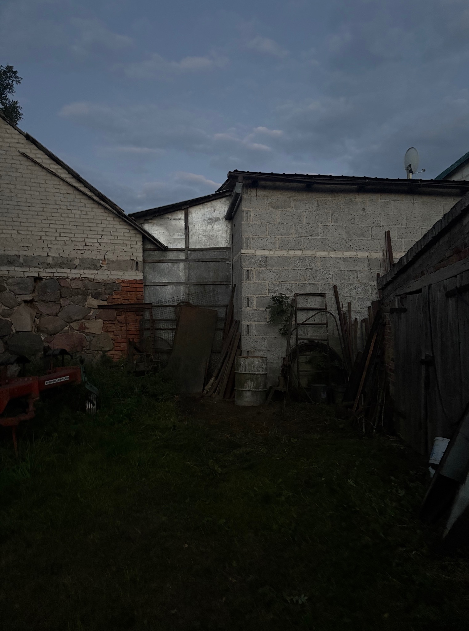 Zaniedbany ogród zarośnięty trawą, z widocznymi budynkami gospodarczymi wykonanymi z kamienia, cegły i blachy falistej. W tle pochmurne niebo.