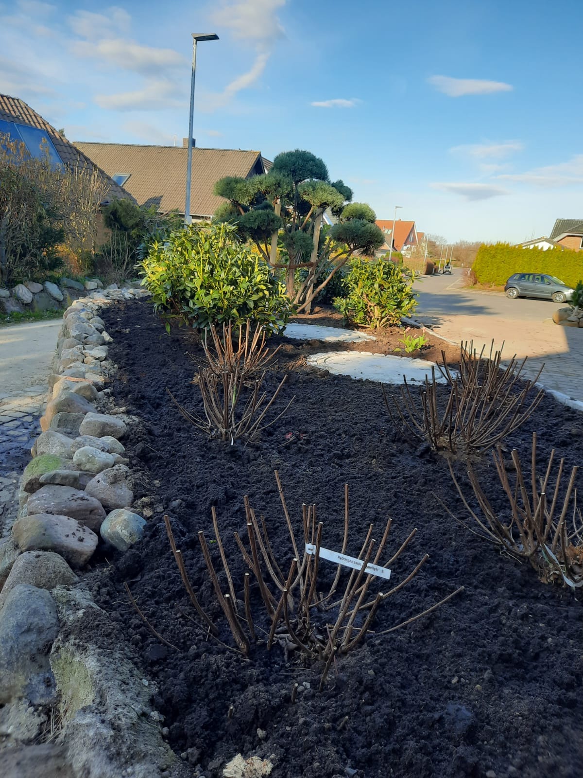 Przygotowany teren pod nasadzenia w ogrodzie: czarna ziemia, przycięte krzewy z etykietami, kamienne obrzeże. W tle ozdobne drzewa i zabudowa mieszkalna.