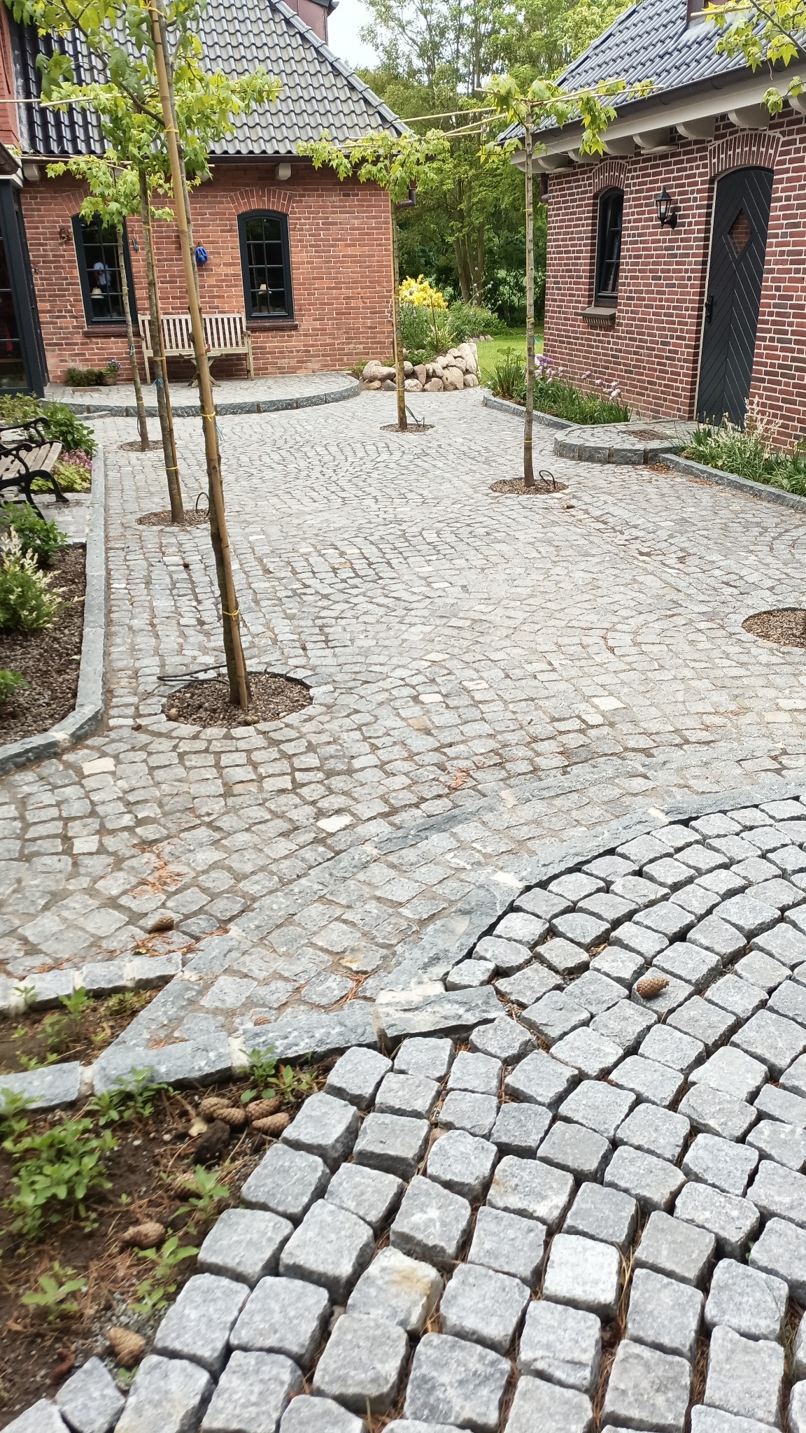 Ułożona kostka granitowa tworzy ścieżkę między budynkami z cegły, z młodymi drzewami rosnącymi w okrągłych wycięciach. Widoczne detale: ławki, roślinność.