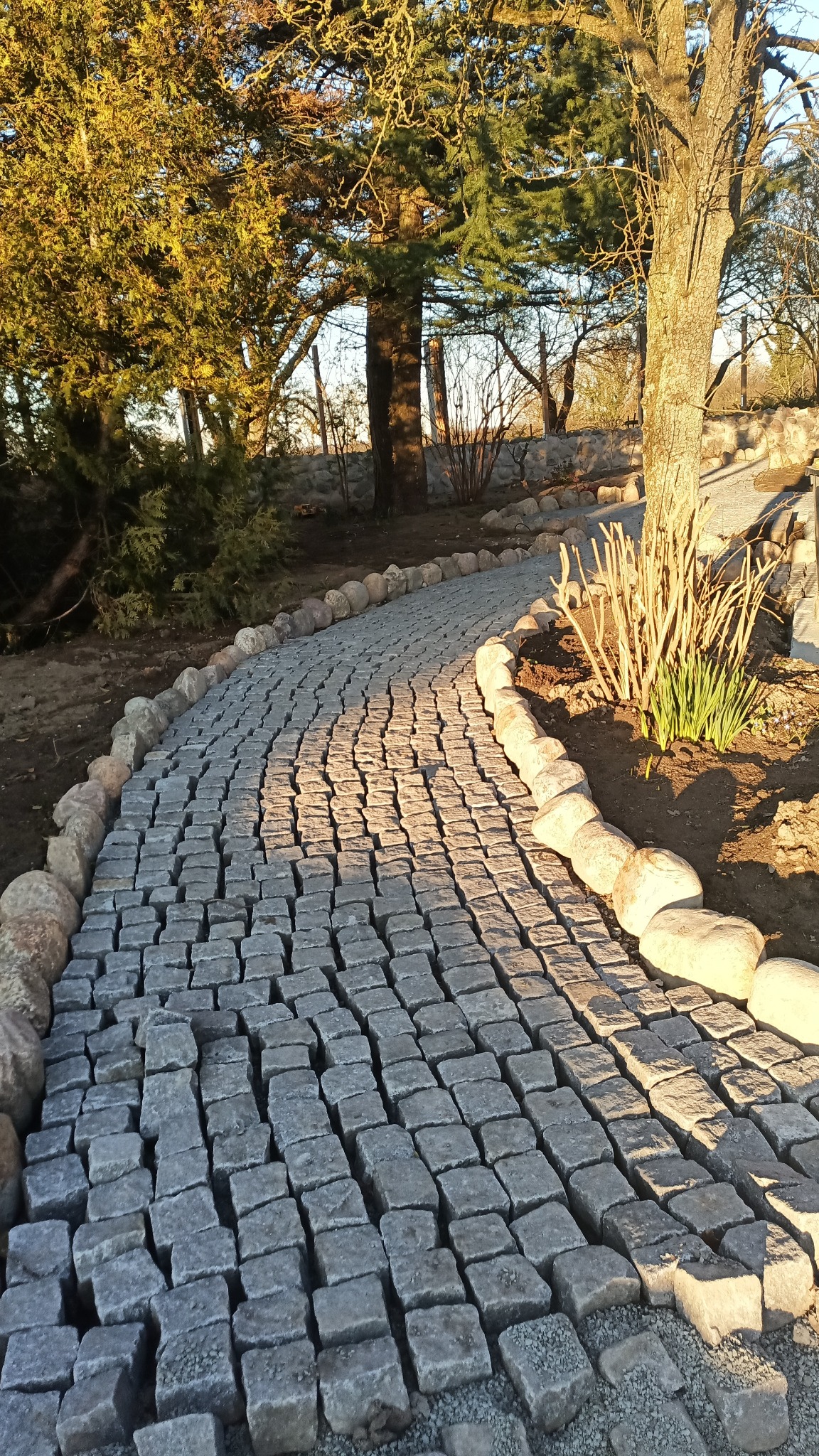 Ścieżka z kostki granitowej, obrzeża z otoczaków, wijąca się wśród drzew i roślin. Słoneczne światło podkreśla fakturę kamienia.